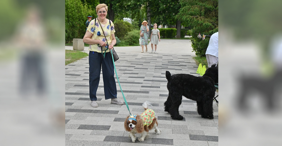 Изображение галереи