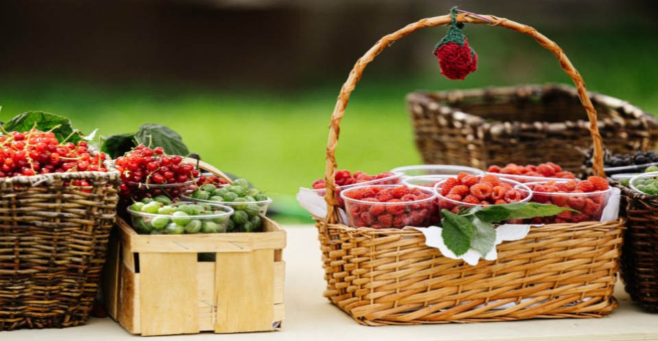 В селе Новосёлки состоялся фестиваль «Малина»