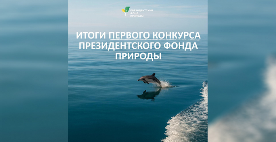 Объявлены итоги конкурса Президентского фонда природы